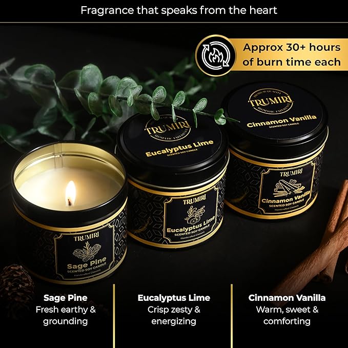 Candle Gift Set Of 3 Sage Pine|Cinnamon Vanilla|Eucalyptus Lime Highly Scented Soy Candels Clean Non Toxic Velas Aromáticas Favors For Women Coworkers Friends Guests Also For Diwali Christmas Holidays