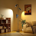 Spotlight Floor Lamp, Tall LED Standing Lamp with Remote/Touch Control, 2700K-6500K, 350°Rotating Head Standing Lamp, Reading Floor Lamp for Living Room, Bedroom, Office & Wall Art, Dual Head