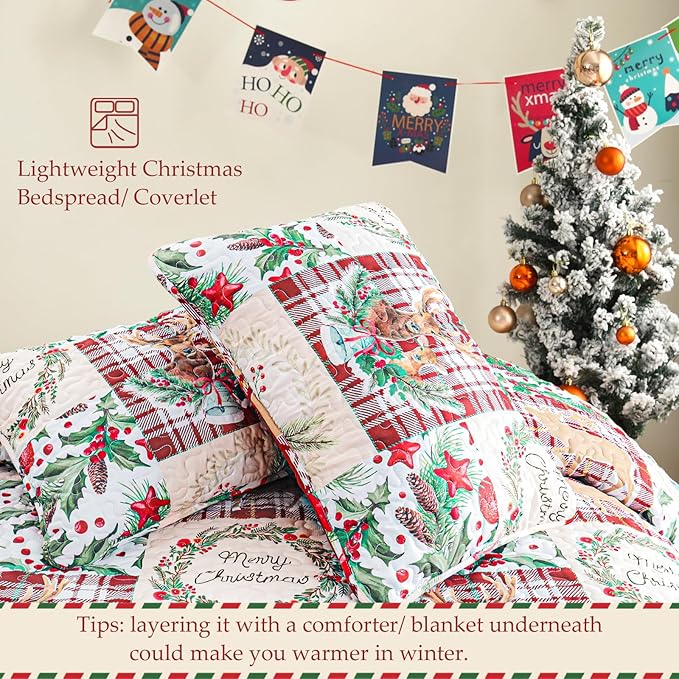 Exclusivo Mezcla Reversible Christmas Quilts Twin Size, Red Bedspread Lightweight Coverlet Winter Patchwork Quilt Bedding Set with Printed Reindeer Wreaths Pattern (1 Quilt, 1 Pillow Sham)