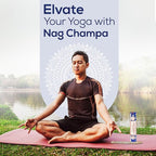 Satya Sai Baba Nagchampa Incense Sticks 250 gm Pack with Raajsee Insence Stick Holder, Inscent Sticks NagChampa Agarbatti, Natural & Chemical Free