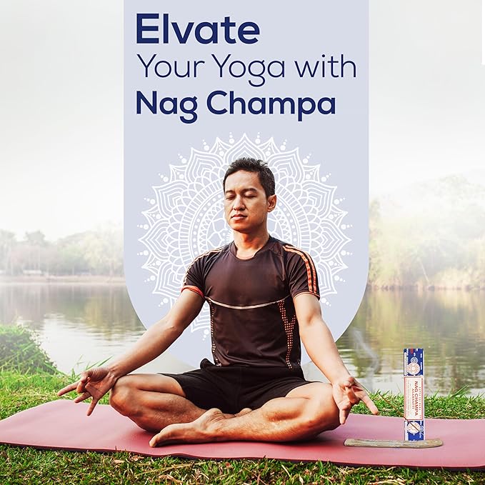 Raajsee Incense Stick Holder Bundle with Satya Nag Champa Incense Sticks 250 gmx 2 Pack (500 GMS), Insense Sticks Nag Champa Agarbatti