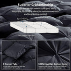 Luxurious All-Season Goose Down Feather Fiber Comforter Queen Size Duvet Insert, Exquisite Black Pinch Pleat Design, Premium Baffle Box, 100% Egyptian Cotton Cover, 65 oz. Fill Weight, Black