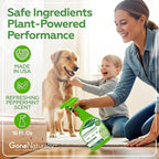 Peppermint Oil Spray for Bugs– Insect Repellent & Bug Spray for Home– Kills & Repels Ants, Roaches, Spiders, Flies, Mosquitoes & More– Safe for Kids & Pets– Indoor & Outdoor Use (16oz)