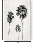 Renditions Gallery Canvas Nature Wall Art Modern Paintings & Prints Decor Vintage Palm Trees Sketch Black & White Abstract Wall Hanging Artwork for Bedroom Office Kitchen - 12"x18" LT06