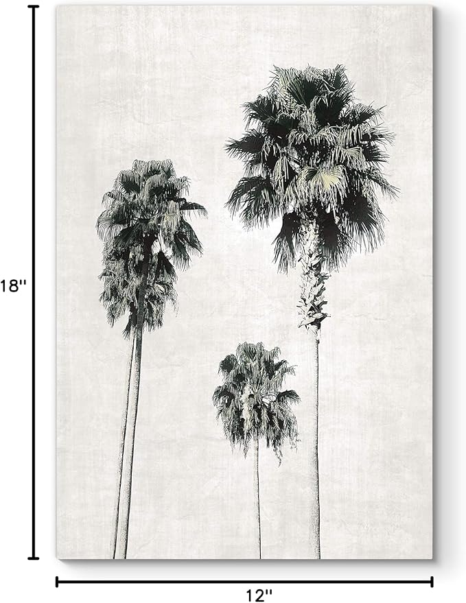 Renditions Gallery Canvas Nature Wall Art Modern Paintings & Prints Decor Vintage Palm Trees Sketch Black & White Abstract Wall Hanging Artwork for Bedroom Office Kitchen - 12"x18" LT06