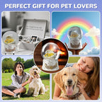 Angel Dog Music Snow Globe, Christmas Indoor Decor, Golden Retriever Lost Pet Memorial Gift, Dog Passing Away Gifts, Ideas, Dog Lover idea.