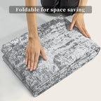 Ciicool Modern Abstract Area Rug 2x3 Washable Small Entryway Rugs, Non-Slip Low Pile Throw Rug Mat, Foldable Thin Kitchen Bathroom Rug, Grey Floor Carpet for Entrance Living Room Indoor Doormat