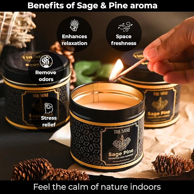 Sage & Pine Candle Strong Scented Soy Candel Natural Non Toxic Velas Aromáticas for Home Gift for Fall Christmas Holidays Pack of 3 5Oz Decorative Tin Jars with Lids