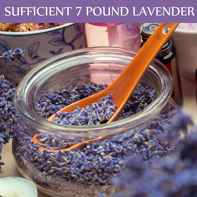 Treela 7 Pound Dried Lavender Bulk Dry Lavender Buds Fragrant Flower Petals for DIY Wedding Gift Crafts Home Fragrance Sachets