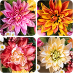 Spring Wreath 24 Inch Summer Wreaths for Front Door with Dahlia and Greenery, Wreath for All Seasons,Spring and Summer Wreaths for Front Door Outside or Indoor