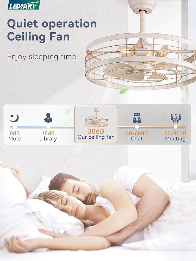 LEDIARY 22 inch Caged Ceiling Fan with Light, Bladeless Industrial Ceiling Fan with Remote, Farmhouse Fan Lights Ceiling Fixtures for Kitchen, Bedroom, Outdoor（6 Speed, Timing）-White and Gold