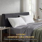 Feather Pillows Queen Size Set of 2 Goose Down Pillows with 100% Breathable Cotton Cover, Hotel Collection Bed Pillows for Sleeping, Soft Support for Back, Stomach and Side Sleepers