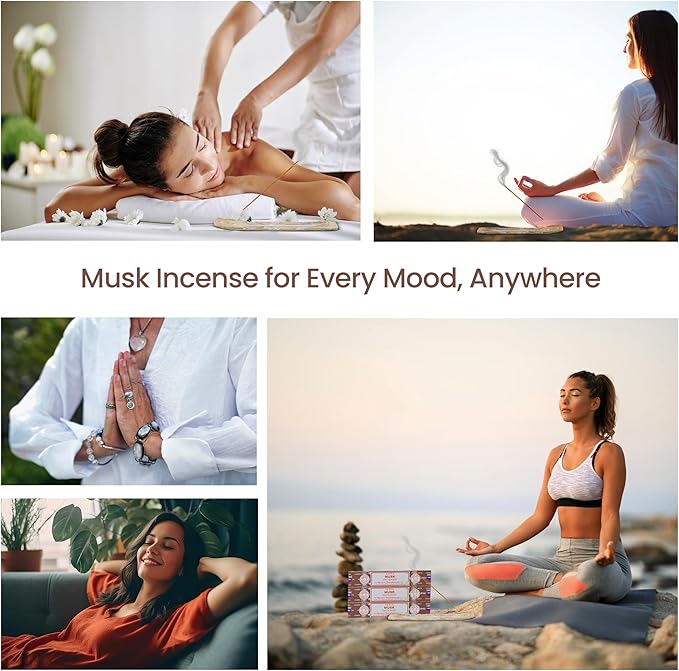 Satya Musk Incense Sticks, Satya Bng Insenses 15gmx12 Pack with Raajsee Incense Holder Bundle, Satya Nagchampa Natural Incense