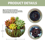 Incense Burner with Calabash Incense Stick Holder - Porcelain Charcoal Censer for Use with Resin Granular Powder Cone or Coil Incense (Kiln-Colored Green)