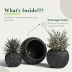 DTY Signature Mount Sherman 19.7''D x 21.7''H Modern Indoor Outdoor Fiberstone Sphere Planter, Durable Round Garden Pot, Weather Resistant, Drainage Hole & Rubber Plug (Ribbed Black, Large)