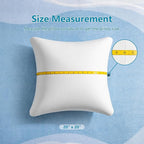 AM AEROMAX 20 ×20 Pillow Insert (Pack of 2) Memory Foam Throw Pillow Insert Sham Square for Decorative Cushion Bed Couch Sofa Without Deform After Longtime Use