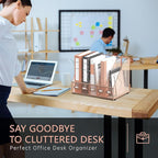 DALTACK Desk Organizers Metal Magazine File Holder with 5 Vertical Compartments Folder Storage Binder Organizer for Office Home School Organization, Rose Gold, Plus