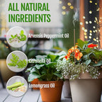 Farm Raised Candles Mintronella Citronella & Peppermint Mosquito Repellent Incense Sticks – 100 Pack – USA‑Made Natural Bug & Insect Repellent – Outdoor Camping, Patio Decor – No‑See‑Um & Gnats, Fly's