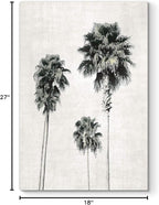 Renditions Gallery Canvas Nature Wall Art Modern Paintings & Prints Decor Vintage Palm Trees Sketch Black & White Abstract Wall Hanging Artwork for Bedroom Office Kitchen - 18"x27" LT06