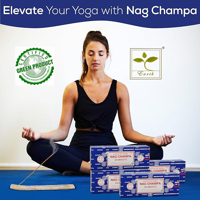 Satya Nag Champa Incense Sticks Bangalore- 250gm x 4 Pack (1000gm) Bundle Natural Hand Rolled Non-Toxic Nagchampa BNG Insense Set with Raajsee Insence Stick Holder for Meditation, Yoga & Joss Sticks