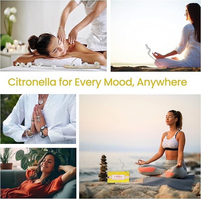 Satya Citronella Incense Sticks, Satya Bng Insenses 15gmx12 Pack with Raajsee Incense Holder Bundle, Satya Nagchampa Natural Incense