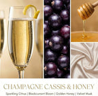 HomeLights Scented Candles for Women & Men, 18oz Candle Jars Aromatherapy 4-Wick Candle, Ideal for Eclectic Mixed Styles Home Decor and Gifts, Champagne Cassis & Honey