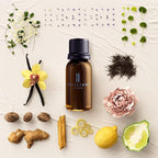Brilliant Scents Diffuser Oil Refill, Inspired by Shangri La Hotel, Hotel Series Aroma Scents, Essential Oils Set for Home, Fragrance Oil for Candle Making, Home, 50 ML, Whispers of Paradise