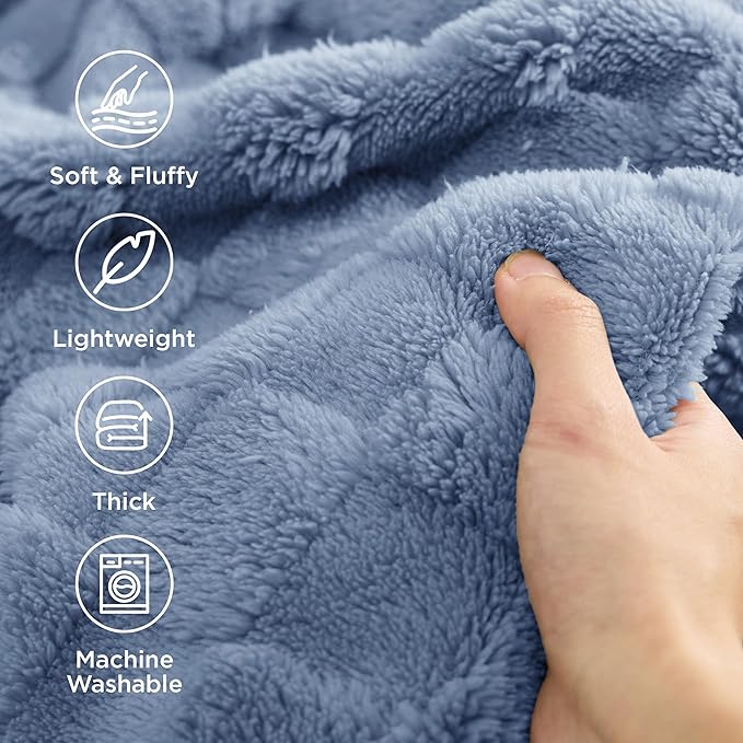 Bedsure GentleSoft Ashley Blue Throw Blanket for Couch - Checkered Fleece Blankets Gifts for Women Men Girls, Cute Soft Cozy Throw for Bedroom Home Decor Gifts, 50x60 Inches