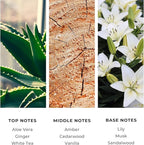 Brilliant Scents La Mar Fragrance Oil 200ml - Premium Diffuser Oil for Home, Office, Hotels - Long Lasting, Plant-Based, Meets IFRA Standards, USA-Made - White Tea, Ginger, Musk