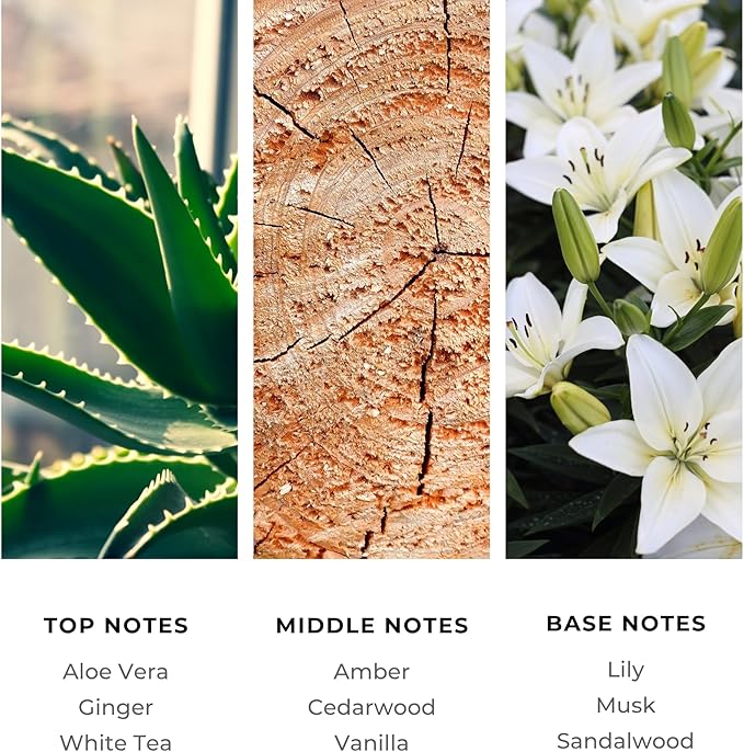 Brilliant Scents La Mar Fragrance Oil 200ml - Premium Diffuser Oil for Home, Office, Hotels - Long Lasting, Plant-Based, Meets IFRA Standards, USA-Made - White Tea, Ginger, Musk