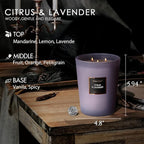 HomeLights Scented Candles - Large Jar Aromatherapy, Natural Soy Wax, 130 Hour Long Burning, Citrus & Lavender