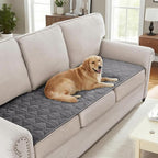 H.VERSAILTEX Couch Cover Chenille Pet Fuzzy Sofa Covers for 3 Cushion Couch Anti Slip Washable Sofa Slipcovers with Strap Soft Couch Protector Cover for Dogs Cats Kids(27.6" x 71", Light Grey)