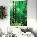 Ambesonne Forest Tapestry Twin Size, Sun Rays Bursting into the Forest Trees Foliage Misty Morning Serenity Picture, Wall Hanging Bedspread Bed Cover Wall Decor, 68" X 88", White and Green