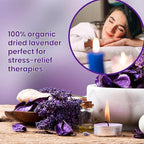 14 Pack Organic Lavender Sachet Bags for Drawers and Closets - Natural Fresh Dried Lavender French Potpourri Bags for Clothes Storage - Scented Sachets for Drawers, Wardrobes, Cars & Home
