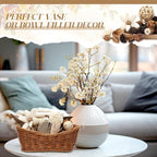Nuanchu 2 Pack Decorative Balls Potpourri Bowl Filler Decor Natural Vase Bowl Filler Assorted Spherical Rattan Twigs Wicker Balls for Home Decor Centerpiece, No Scent(Beige Series,Classic Style)