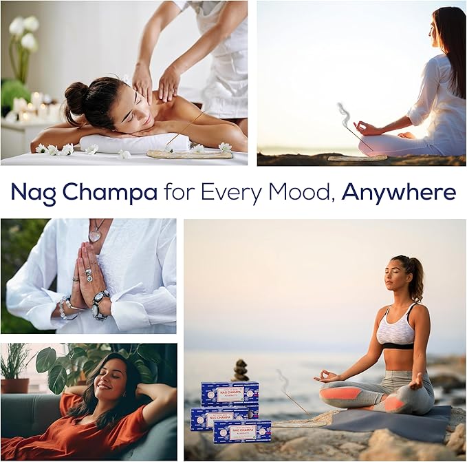Satya Nag Champa Incense Sticks Bangalore- 250gm x 4 Pack (1000gm) Bundle Natural Hand Rolled Non-Toxic Nagchampa BNG Insense Set with Raajsee Insence Stick Holder for Meditation, Yoga & Joss Sticks