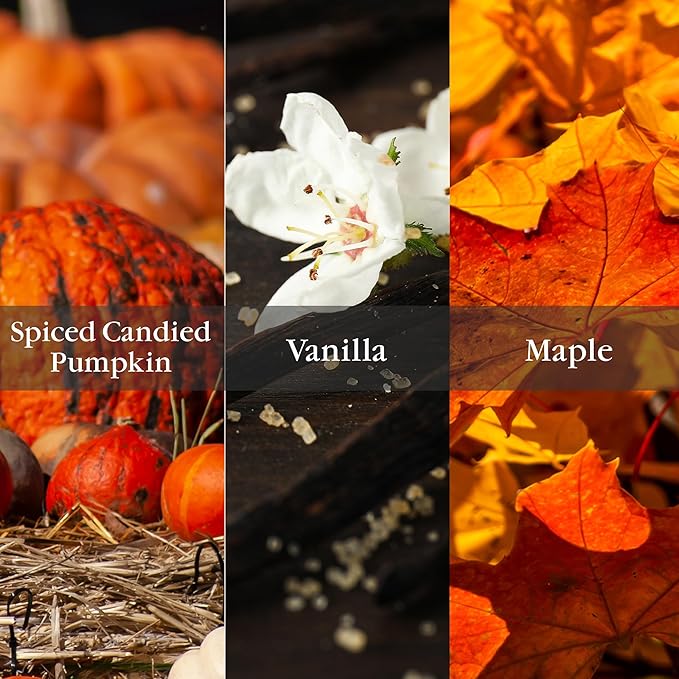 Aromatique Pumpkin Spice Potpourri – 7 oz Decorative Fragrance with Pumpkin, Vanilla & Maple – Long-Lasting Scented Botanicals for Fall Home Décor – Hand Made in The USA
