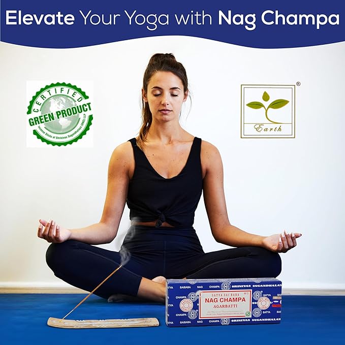 Satya Nag Champa Incense Sticks Bangalore- 250gm Bundle Natural Hand Rolled Non-Toxic Nagchampa BNG Insense Set with Raajsee Insence Stick Holder for Meditation, Yoga, Aromatherapy & Joss Sticks