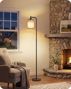 Dimmable Floor Lamp for Living Room with Remote and Foot Switch, Modern Standing, Corner Lamp,10W Bulb 3 Color Temperatures, for Bedroom, Office, Corner, ETL Listed, Black and Beige E19LD05