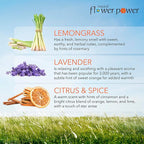 Natural Flower Power Air Freshener Spray Refills - Odor Eliminator w/Essential Oils - Home, Car & Fabric - Cruelty Free & Vegan - Variety Pack - Citrus & Spice, Lavender, Lemongrass - 3 x 16 fl oz