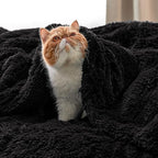 Bedsure GentleSoft Fluffy Black Blankets Queen Size for Bed, Thick Sherpa Faux Fur Fleece Fuzzy Plush Winter Warm Soft Full Queen Blankets, Bedroom Decor Black Gifts Cozy Gifts for Women Men, 90x90
