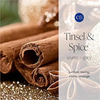 Capri Blue Glimmer Reed Diffuser Set - Includes Diffuser Sticks, Scented Oil, and Decorative Glass Bottle - Home Decor Room Freshener - Capri Blue Home Fragrance - Tinsel & Spice (8 fl oz)