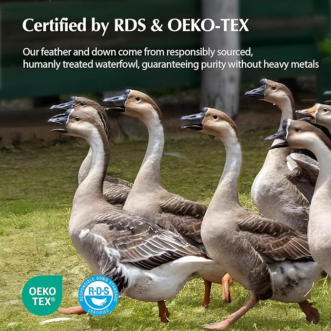 Pacific Coast Goose Firm Bed Pillows of Standard Size, 100% Organic Cotton Cover, Gusseted Design for Sleeping, Feather and Down Pillows of Hotel Collection