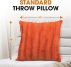 Cheer Collection Fall Decorative Throw Pillows for Couch – Set of 2 Faux Fur Fall Pillows for Couch, Cozy Fall Couch Pillows for Living Room or Bed, Soft, Rust Accent Pillows, 20" x 20"