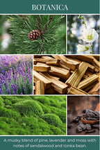 ECO CANDLE CO. Room & Linen Spray, Botanica, 8 oz. - Scents of Pine, Lavender, & Moss - Recycled Aluminum Bottle, No Propellents, Pump Top, All Natural Ingredients