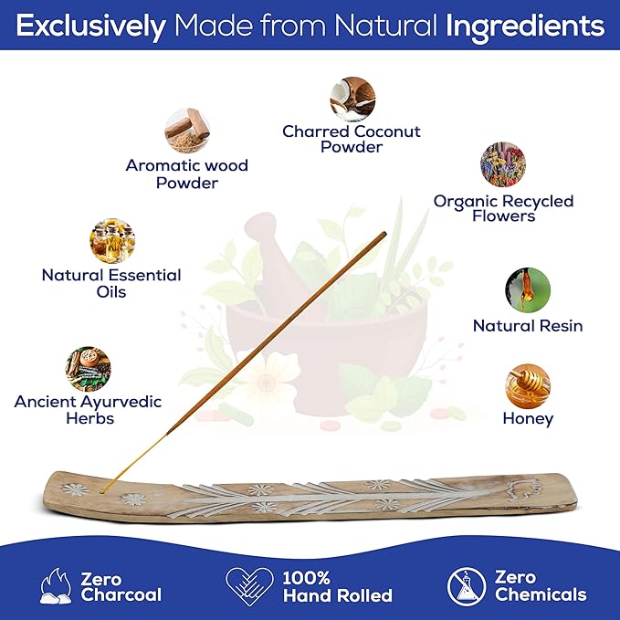 Satya Nagchampa Incense Sticks, Satya Bng (Bangalore) Insenses 15gmx12 Pack with Raajsee Incense Holder Bundle, Satya Nagchampa Natural Incense