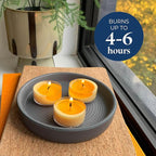 PartyLite Gift Set of 12 Universal Tea Lights, Salted Honey Bourbon Scented, Notes of Raw Honey and Bourbon with Vanilla Bean and Sea Salt, 4-6 Hour Burn Time, Luxurious & Rich, Perfect for Gifting