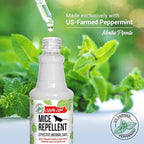 Mighty Mint Peppermint Oil Mouse Repellent Spray – Natural Indoor & Outdoor Control for Mice and Rodents – Plant-Based, Extra-Strong Formula - 16 oz (Pack of 2)