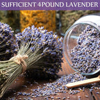Treela 4 Pound Dried Lavender Bulk Dry Lavender Buds Fragrant Flower Petals for DIY Wedding Gift Crafts Fragrance Sachets