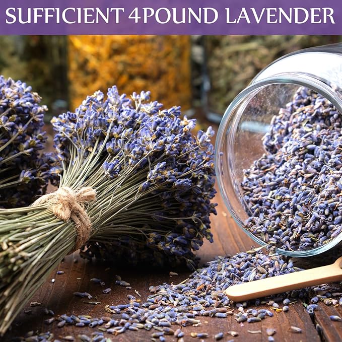 Treela 4 Pound Dried Lavender Bulk Dry Lavender Buds Fragrant Flower Petals for DIY Wedding Gift Crafts Fragrance Sachets